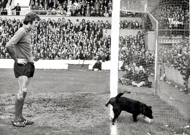 Исторические кадры, редкие архивные фотографии, исторические события, редкие фото звёзд