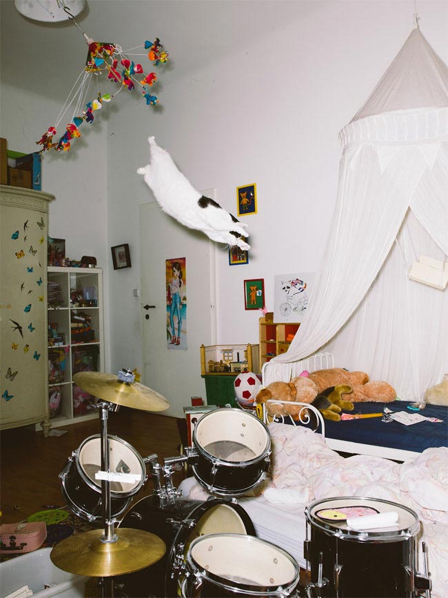 Летающие коты, эпичные прыжки кошачьих, кошки сфотографированные во время прыжка