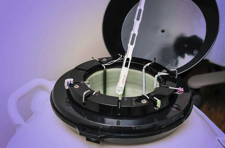 9 национальных особенностей голландцев, которые нам не понять национальные особенности голландцев, всё о голландии