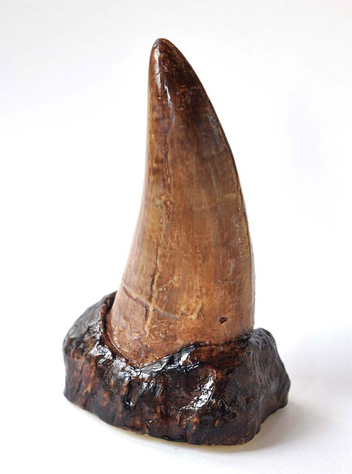 реалистичные торты, сердце из шоколада, Сара Харди, Sarah Hardy