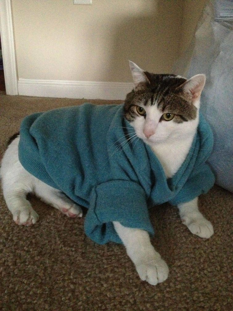 находчивые мужья, смешные случаи брак, супружеская жизнь смешное