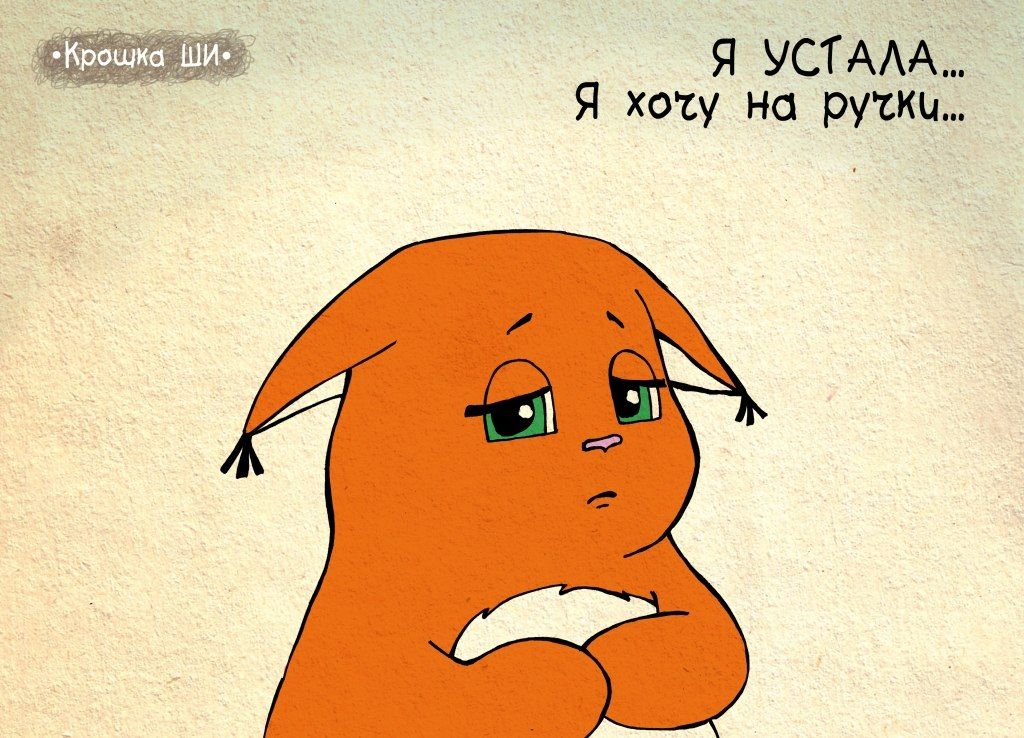 Крошка Ши, белка ши. вся правда о девчонках от крошки ши