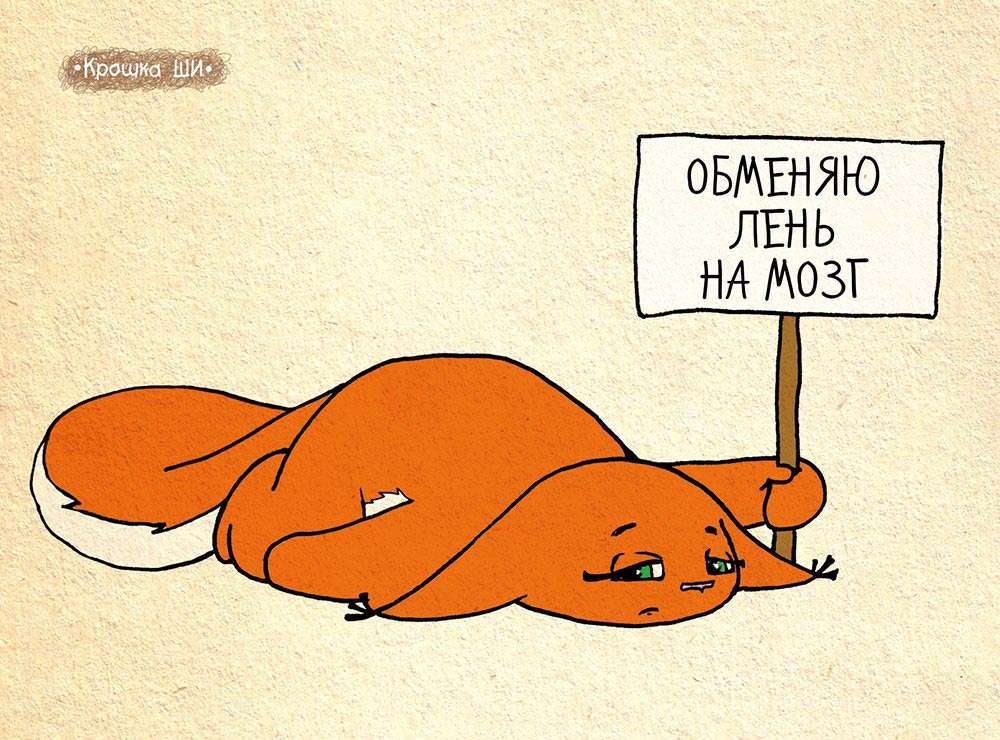 Крошка Ши, белка ши. вся правда о девчонках от крошки ши