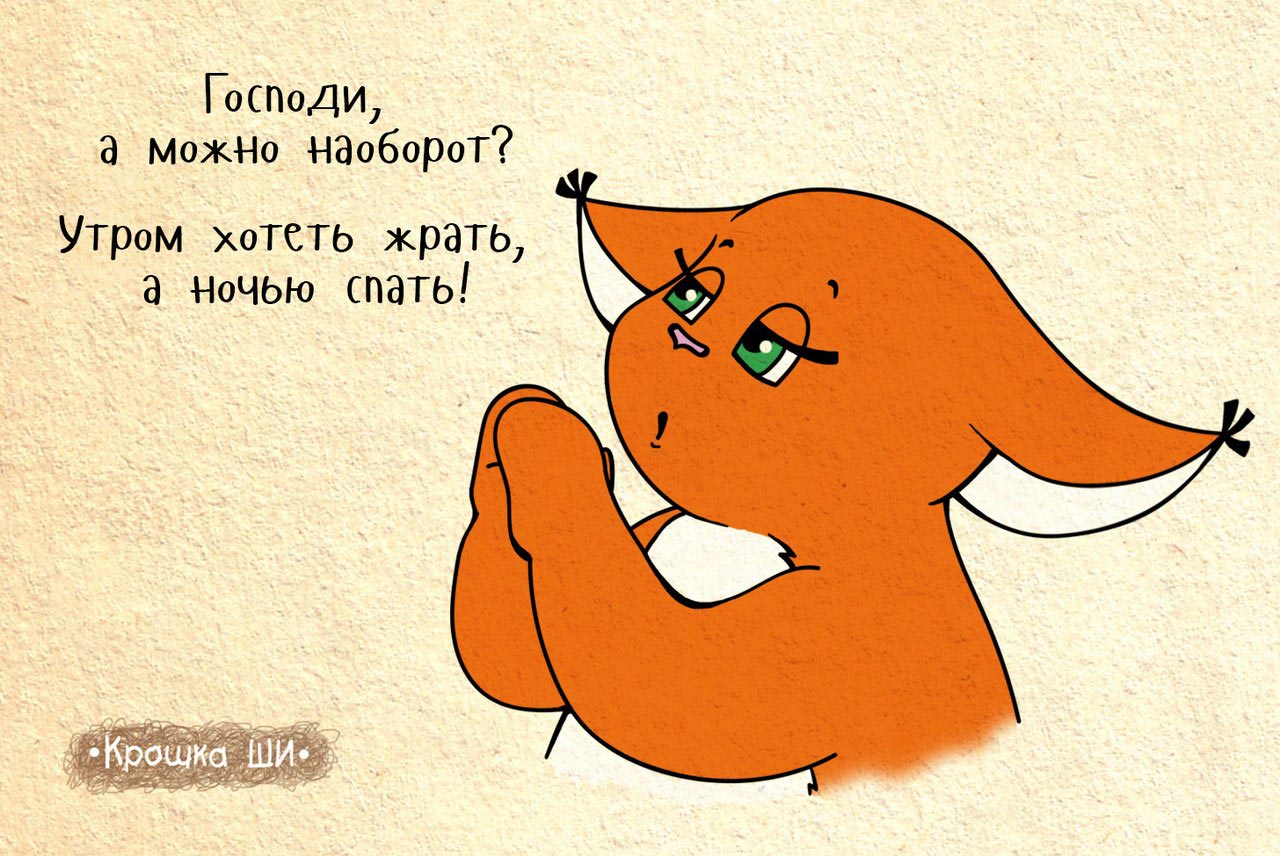 Крошка Ши, белка ши. вся правда о девчонках от крошки ши