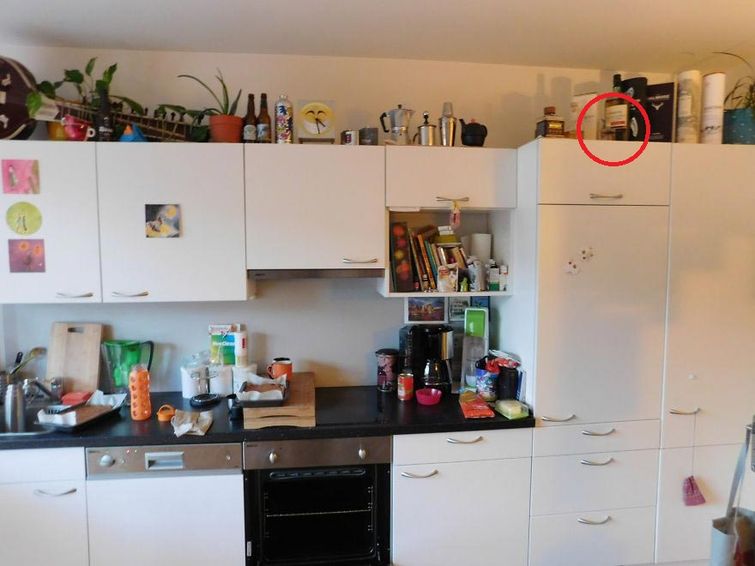 найди кота на фото, найди кота Педро на фото