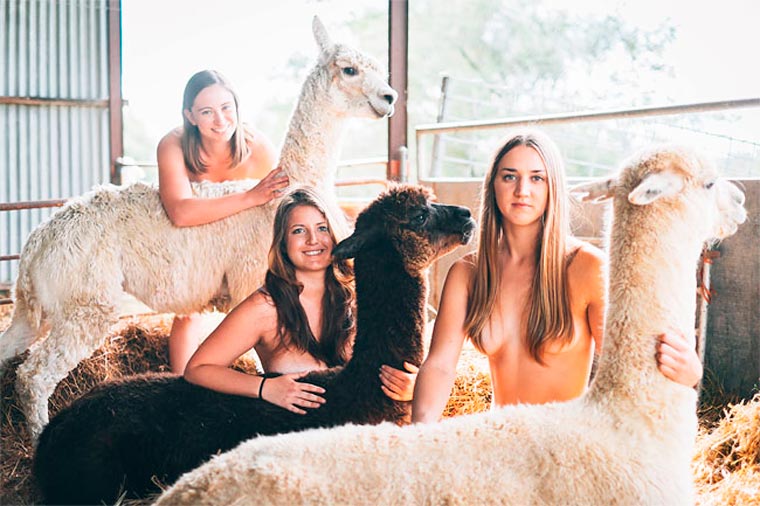 студенты снялисьголыми, студенты снялись голыми для календаря, студенты снялись голыми для благотворительности