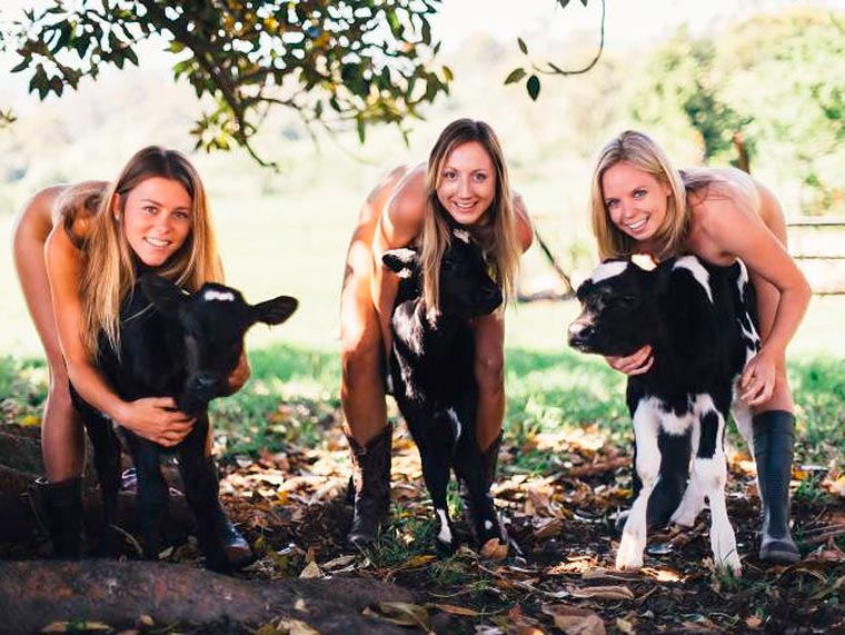 студенты снялисьголыми, студенты снялись голыми для календаря, студенты снялись голыми для благотворительности