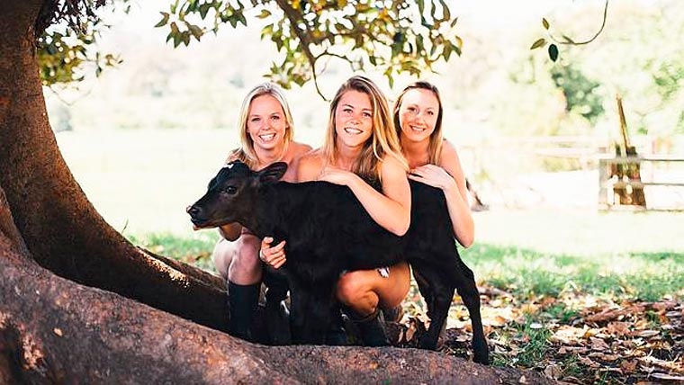 студенты снялисьголыми, студенты снялись голыми для календаря, студенты снялись голыми для благотворительности