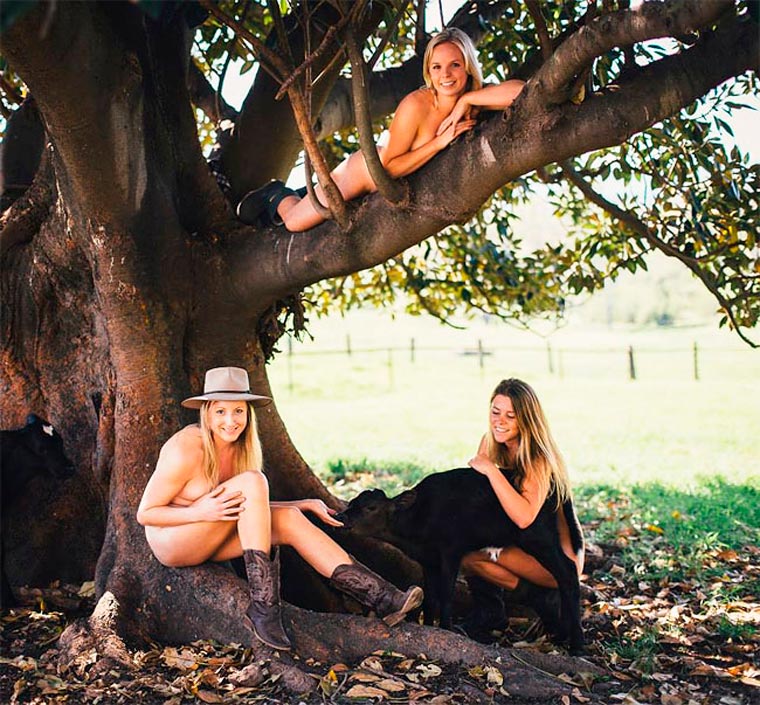 студенты снялисьголыми, студенты снялись голыми для календаря, студенты снялись голыми для благотворительности