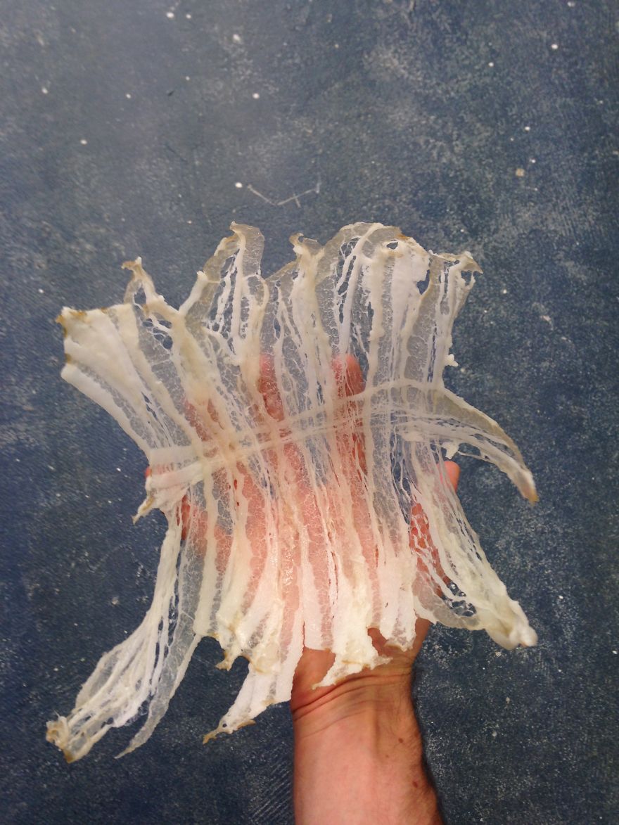 Лампы и вазы из выброшенного мяса, Исаак Монте