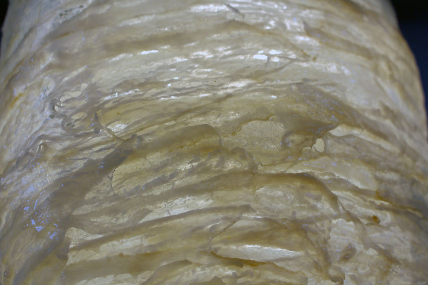 Лампы и вазы из выброшенного мяса, Исаак Монте