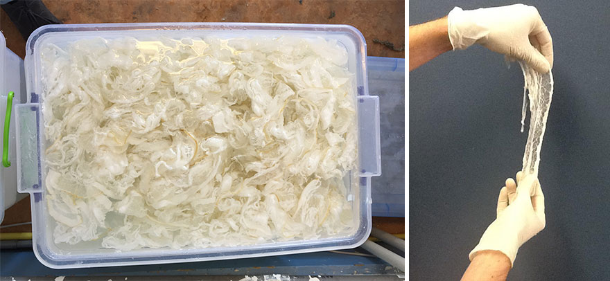 Лампы и вазы из выброшенного мяса, Исаак Монте