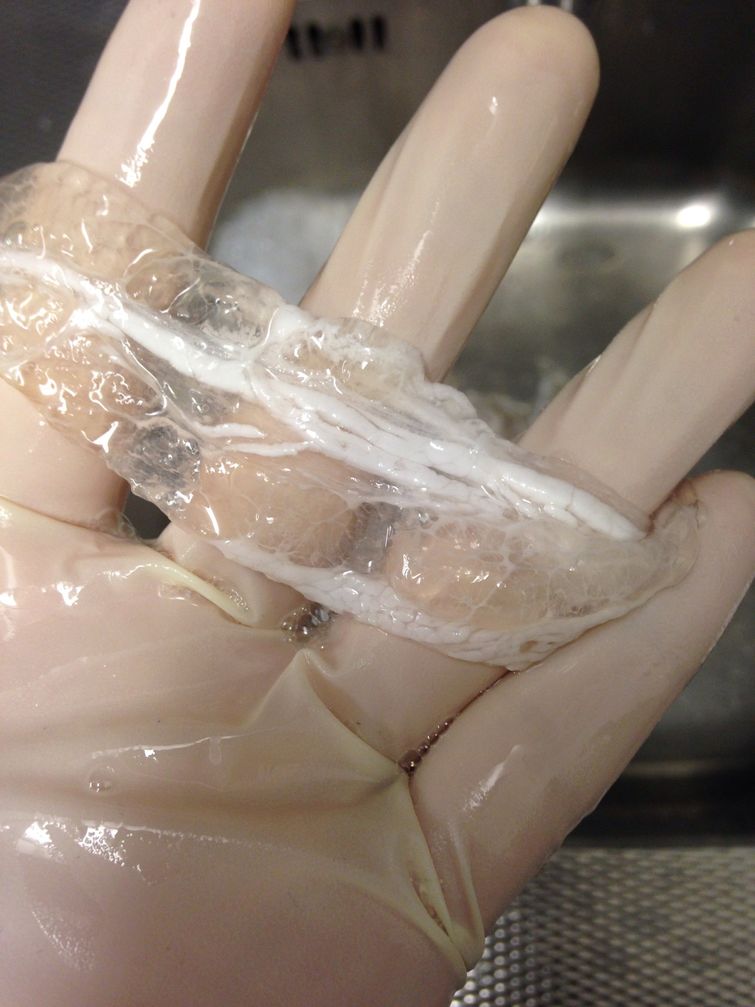 Лампы и вазы из выброшенного мяса, Исаак Монте