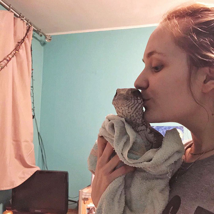 Мануэль варан, варан домашний