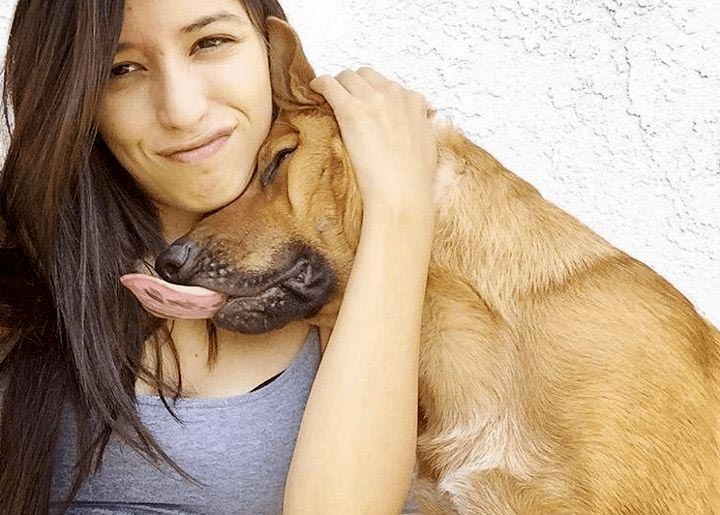 траур собаки, душераздирающая история собаки, скорбящая собака, собака скорбит по хозяину, собака скорбит по владельцу