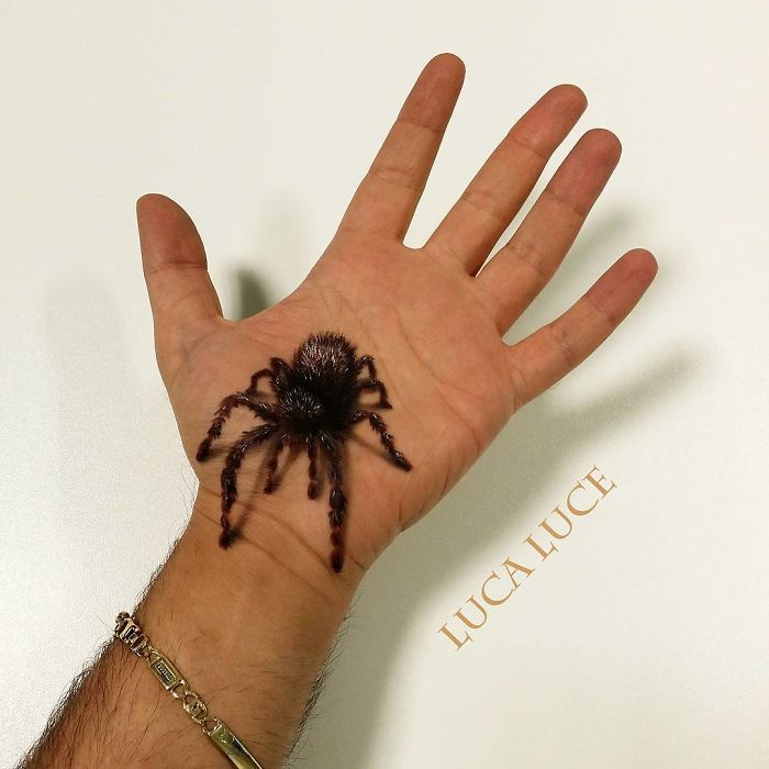 Галлюциногенные 3D-иллюзии на ладонях, которые взорвут ваш мозг 3D-иллюзии на ладонях, оптические иллюзии на ладонях, Лука Луче, Luca Luce