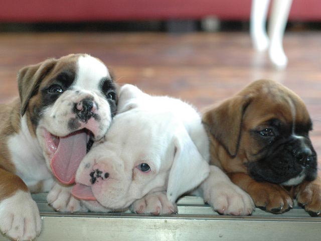 визуальная математическая задачка