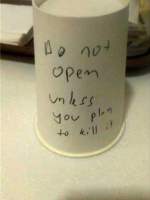 Самые жуткие и неожиданные и смешные розыгрыши, устроенные на Хэллоуин хэллоуиновские розыгрыши, розыгрыши на Хэллоуин, страшные розыгрыши, неожиданные розыгрыши