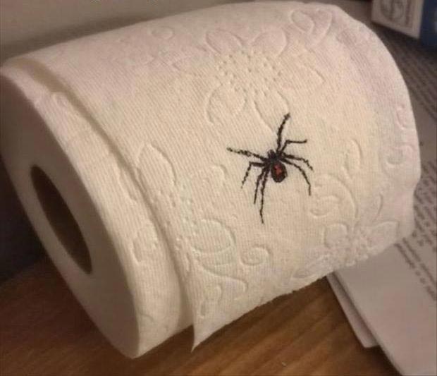 Самые жуткие и неожиданные и смешные розыгрыши, устроенные на Хэллоуин хэллоуиновские розыгрыши, розыгрыши на Хэллоуин, страшные розыгрыши, неожиданные розыгрыши