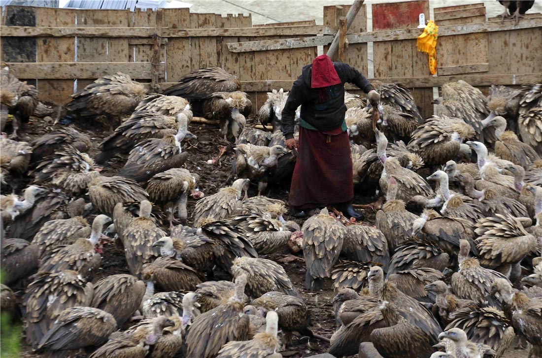 7 самых странных и пугающих похоронных обрядов мира странные похоронные обряды, пугающие похоронные традиции