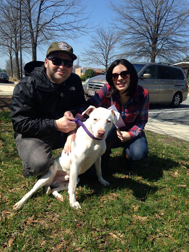 Брошенная собака не может перестать улыбаться, собака-улыбака