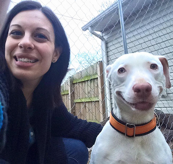 Брошенная собака не может перестать улыбаться, собака-улыбака