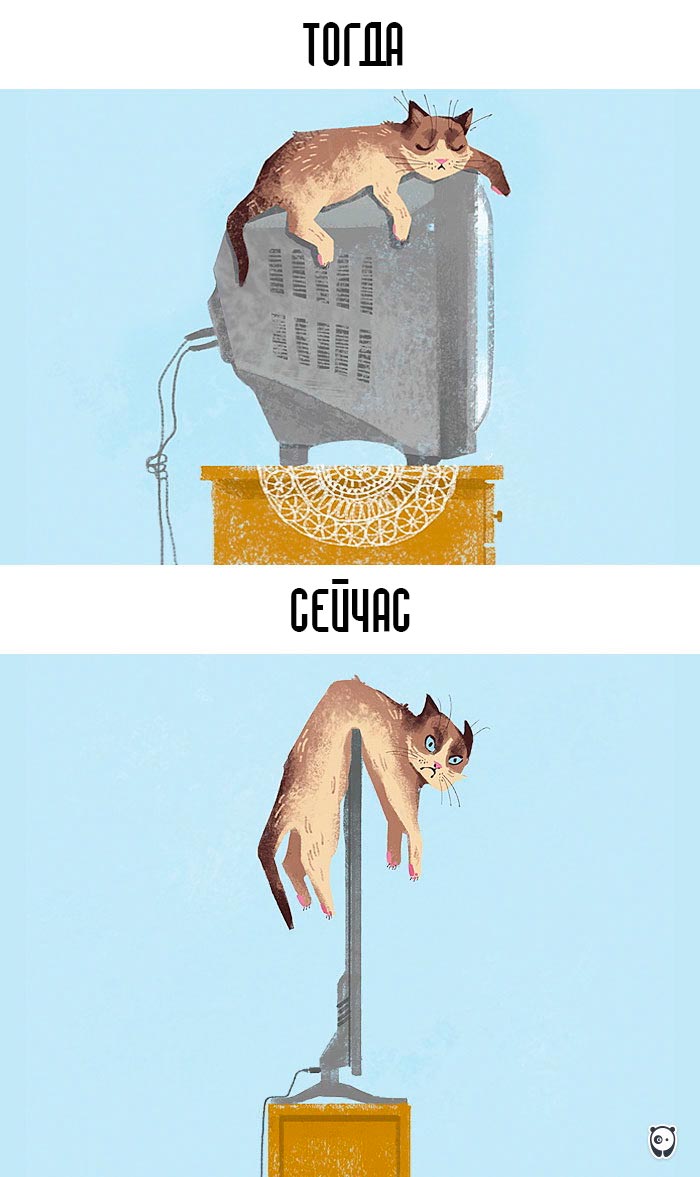 кошки и современные технологии, как технологии изменили жизнь кошек, кошки технологии тогда и сейчас