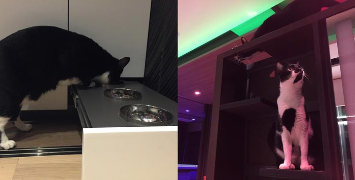 Фантастический дизайн крошечной квартиры, в которую удалось поместить кухню, ванну, кинотеатр и тренажёрный зал квартира трансформер, LAAB, Small Home Smart Home, дизайн квартиры трансформер