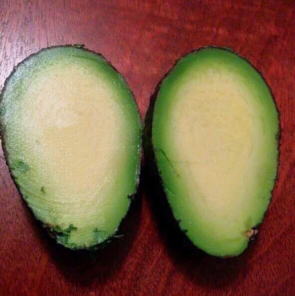 неожиданные фотографии, фотогарфии