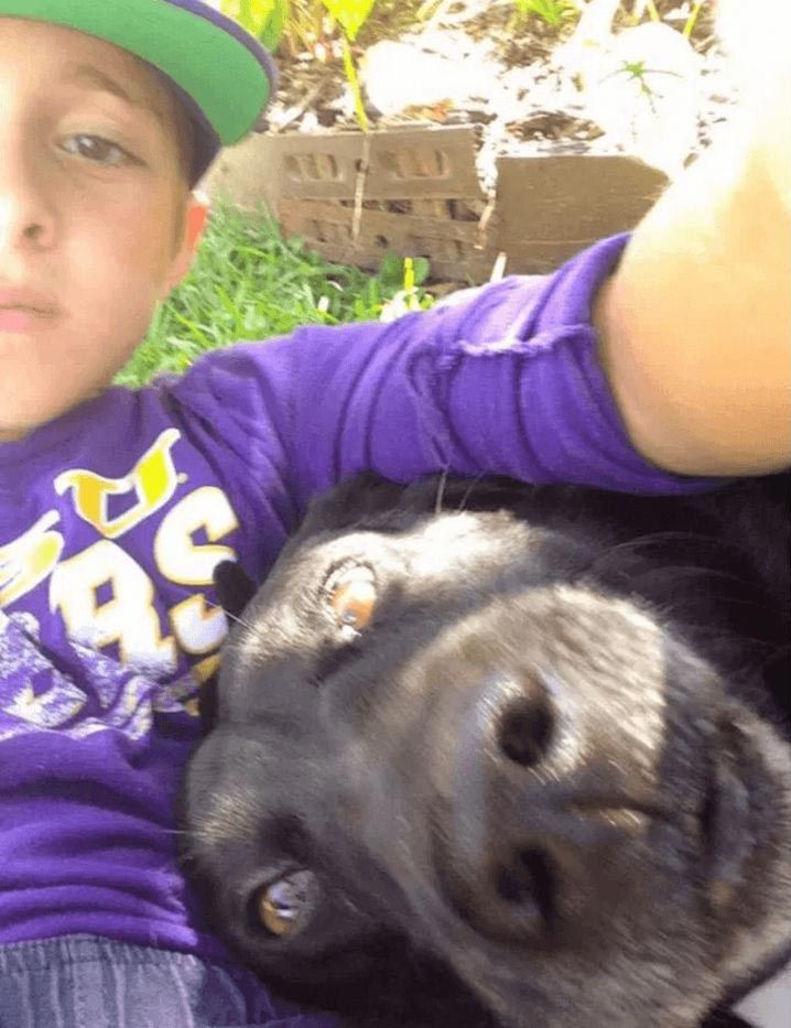 бежал в в гараж обнимал собаку, мальчик бросал велосипед обнимал собаку