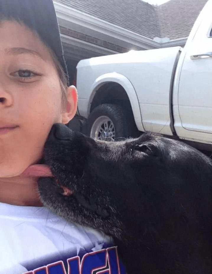 бежал в в гараж обнимал собаку, мальчик бросал велосипед обнимал собаку