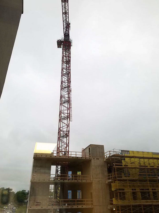 Строитель прячет фигуру Уолли напротив детской больницы, Джейсон Хейни