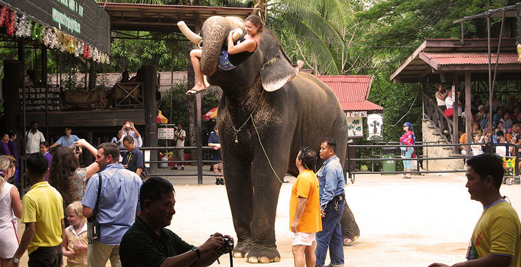 Чего нельзя делать в Таиланде, запреты Таиланда