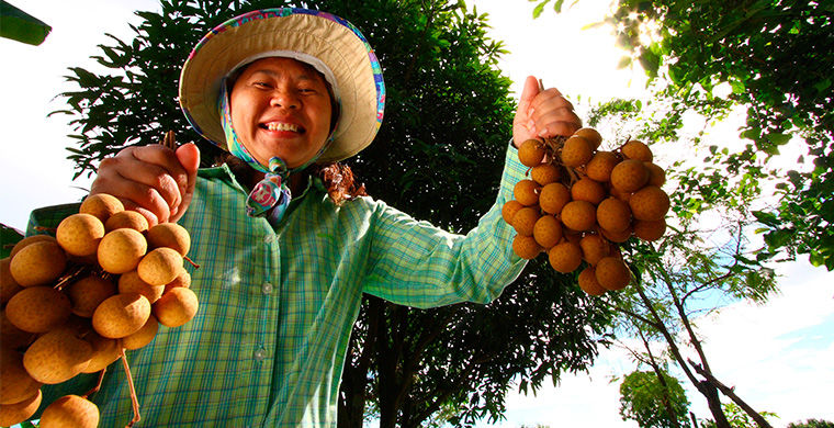 Чего нельзя делать в Таиланде, запреты Таиланда