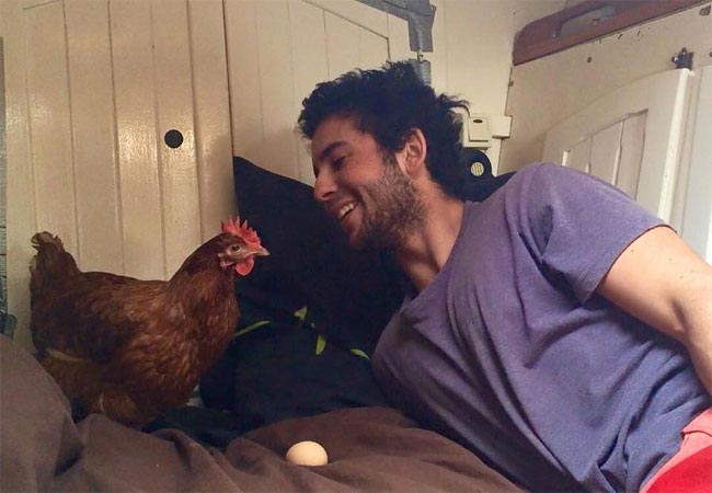 Захватывающее приключение француза и его курицы, путешествующих по всему миру на яхте путешествие с курицей, Гирек Судэ, Guirec Soudée, взял в плавание курицу