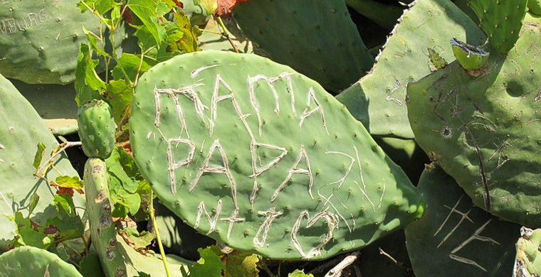 грехи отпускников, чего не стоит делать в отпуске