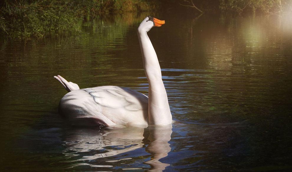 животный бодиарт, Гезине Марведел, Gesine Marwedel