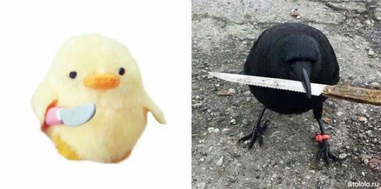 Я до и после 2016, интернет-мем Я до и после 2016