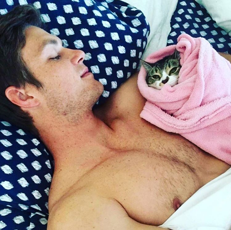 Горячие парни с кошками, парни и кошки