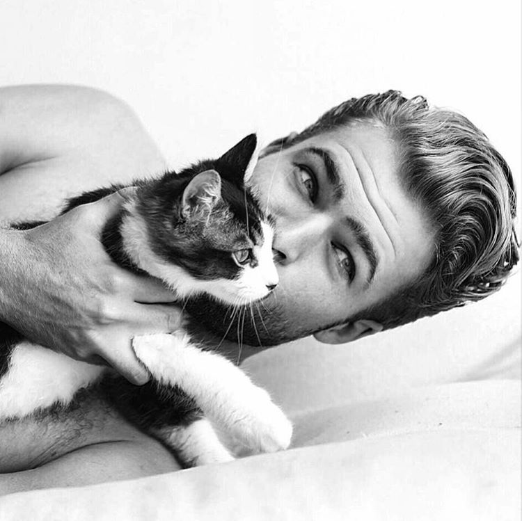 Горячие парни с кошками, парни и кошки