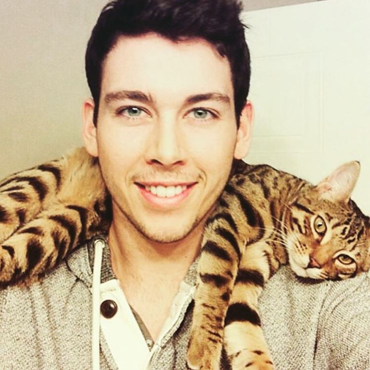 Горячие парни с кошками, парни и кошки