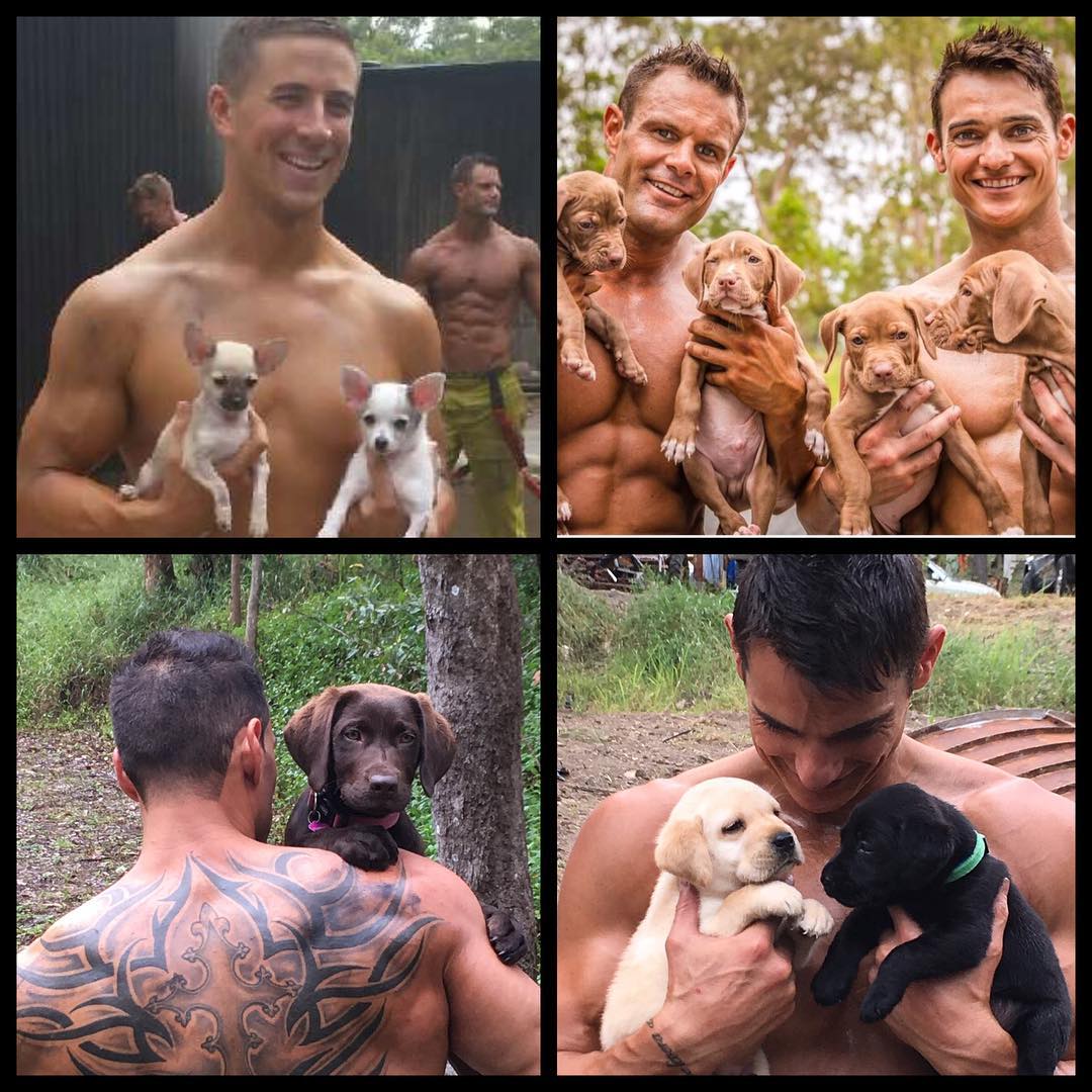 Пожарные позируют со щенками для благотворительного календаря, Firefighters Calendar