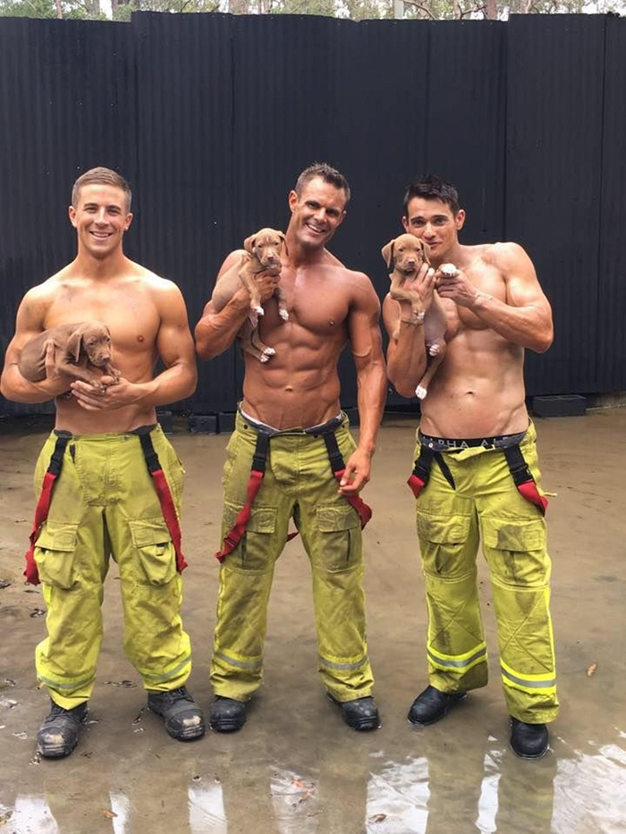 Пожарные позируют со щенками для благотворительного календаря, Firefighters Calendar