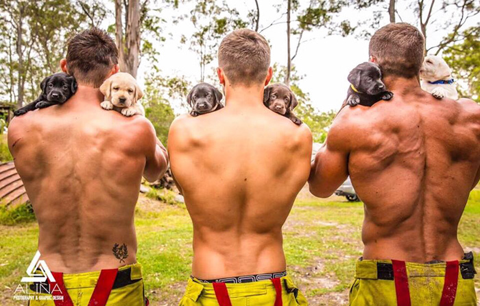Пожарные позируют со щенками для благотворительного календаря, Firefighters Calendar