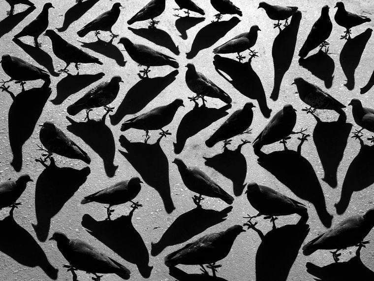 Геометрия теней, тёмный сюрреализм, фотограф Алексей Меньшиков