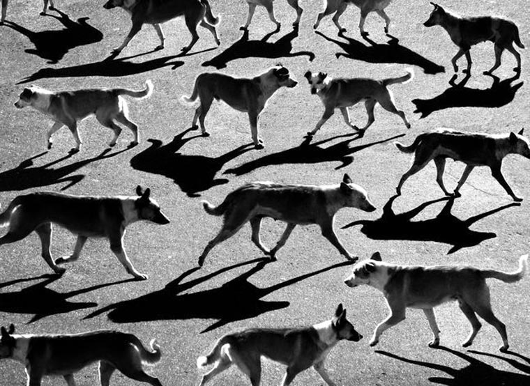 Геометрия теней, тёмный сюрреализм, фотограф Алексей Меньшиков