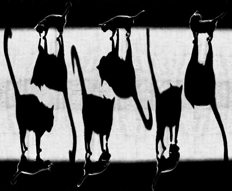 Геометрия теней, тёмный сюрреализм, фотограф Алексей Меньшиков