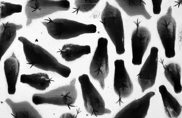 Геометрия теней, тёмный сюрреализм, фотограф Алексей Меньшиков