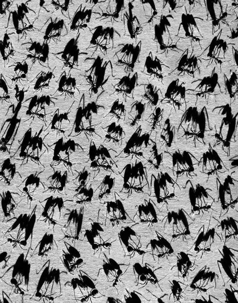 Геометрия теней, тёмный сюрреализм, фотограф Алексей Меньшиков