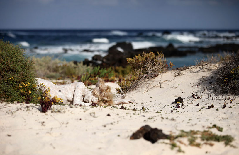 Сможете ли вы найти моделей на этих фотографиях, Metamorphosis, Метаморфозы